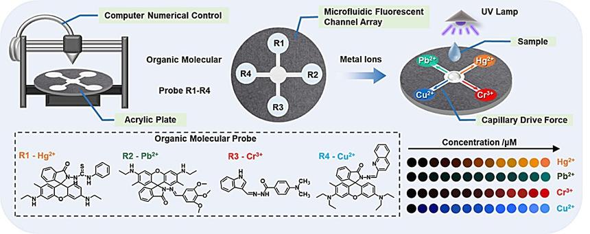 Новый сенсор позволит в реальном времени выявлять тяжелые металлы в воде