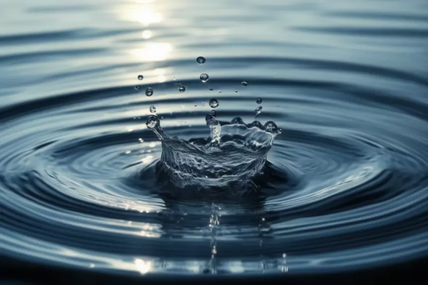 Яндекс Погода добавила прогноз температуры воды для пляжного отдыха