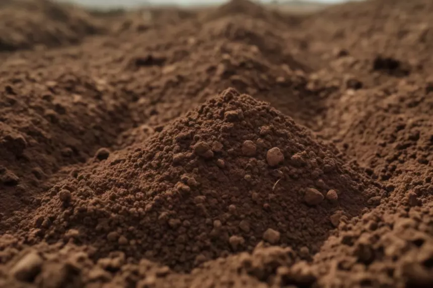 Новосибирские ученые создали новую технологию для быстрой оценки почв