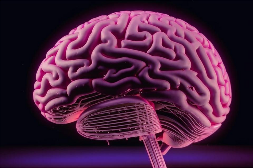 Ученые MIT разработали новый инструмент для исследования мозга