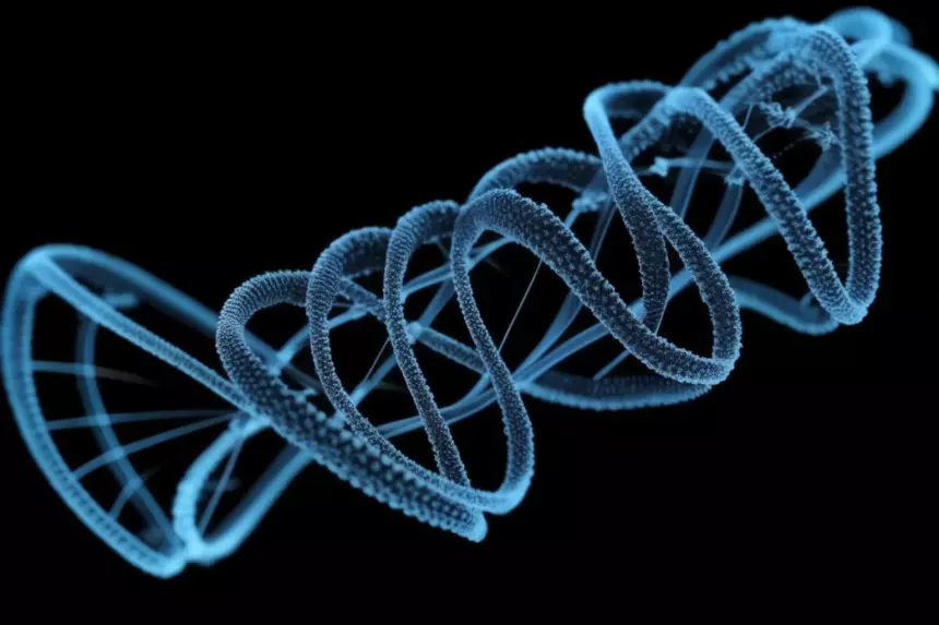 В России разработал программу для расчета частоты мутаций в ДНК организмов