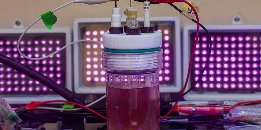 Ученые обнаружили новые бактерии для производства биоразлагаемых пластиков