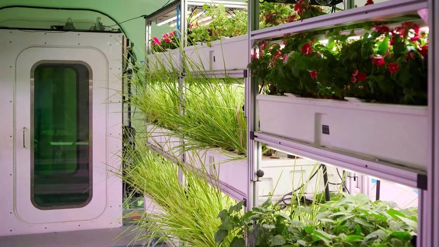 NASA выбрала победителя в конкурсе на «лучшую еду для космонавтов» — выигрыш составит почти 70 млн рублей