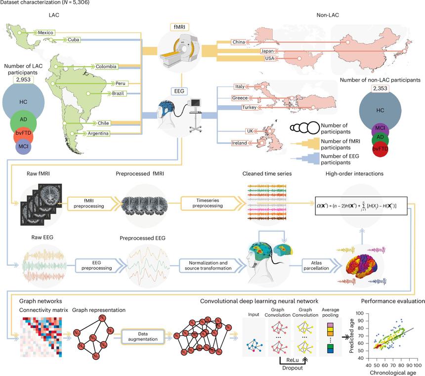 Ученые разработали новый метод оценки биологического возраста мозга