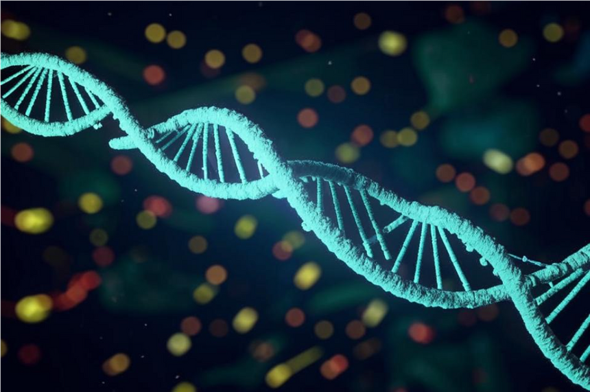 Ученые обнаружили новую роль «тихих» мутаций в организме