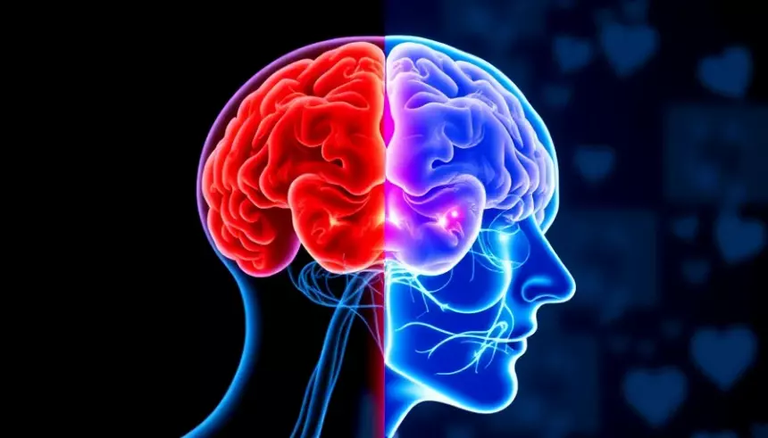 Состояние простаты и болезнь Альцгеймера оказались связаны: что нужно знать