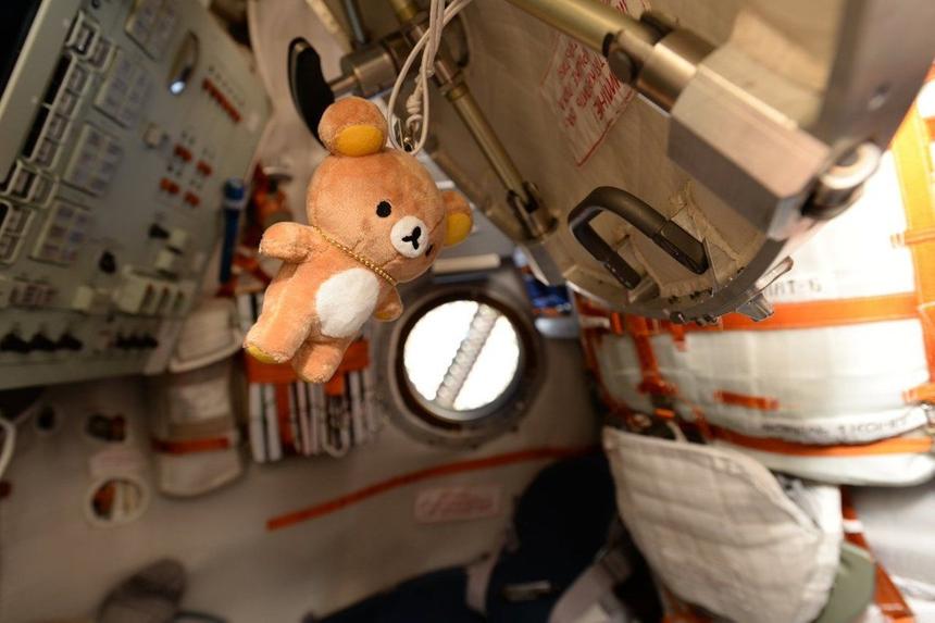 Зачем космонавты берут с собой плюшевые игрушки? Нет, не из-за тоски по дому