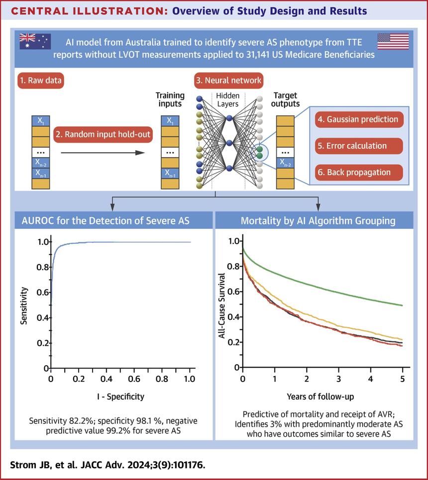 ИИ поможет в диагностике тяжелого заболевания сердца