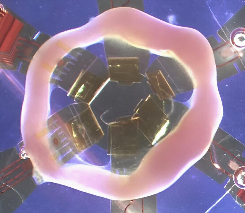 Ученые разработали модель тканей сердца для изучения заболеваний