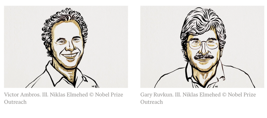 Виктор Амброс и Гэри Равкан