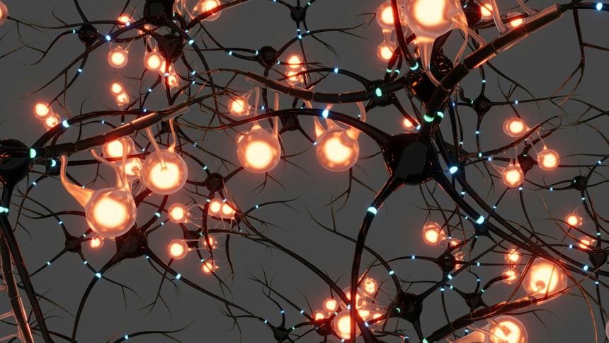 Эксперт перечислил профессиональные сферы, где ИИ потеснит человека