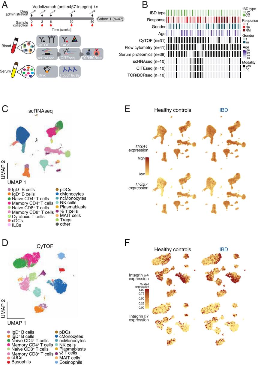 Ученые нашли способ предсказать успех лечения заболеваний кишечника