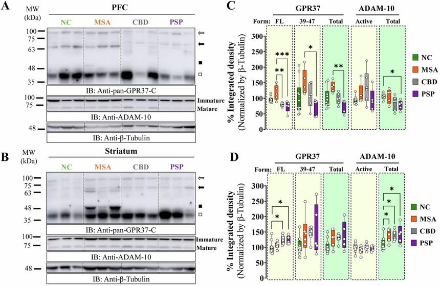 Новый биомаркер поможет прогнозировать прогрессирование болезни Паркинсона