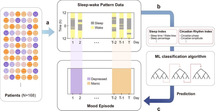 Новый метод предскажет настроение с помощью данных с носимых устройств