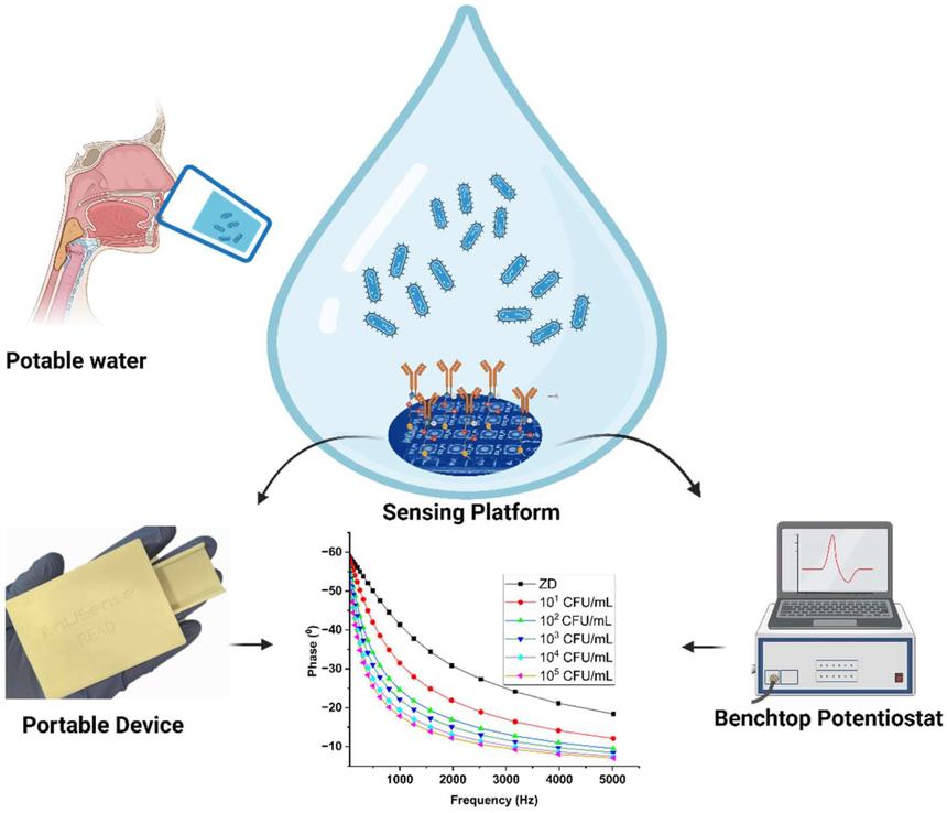 Ученые создадут сенсоры для быстрого выявления загрязнений в еде и воде
