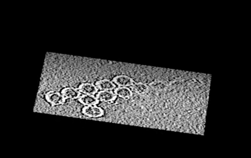Ученые создали нанороботов из ДНК для доставки лекарств