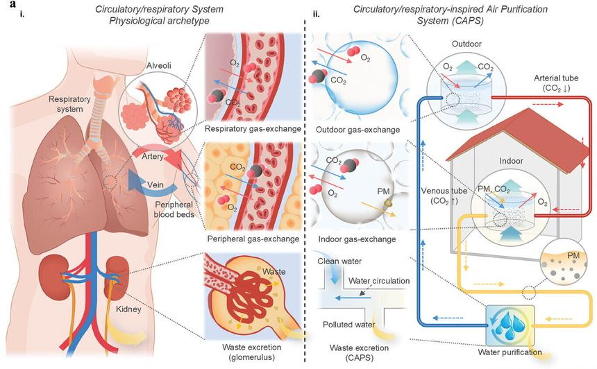 Создана система очистки воздуха, вдохновленная человеческим организмом