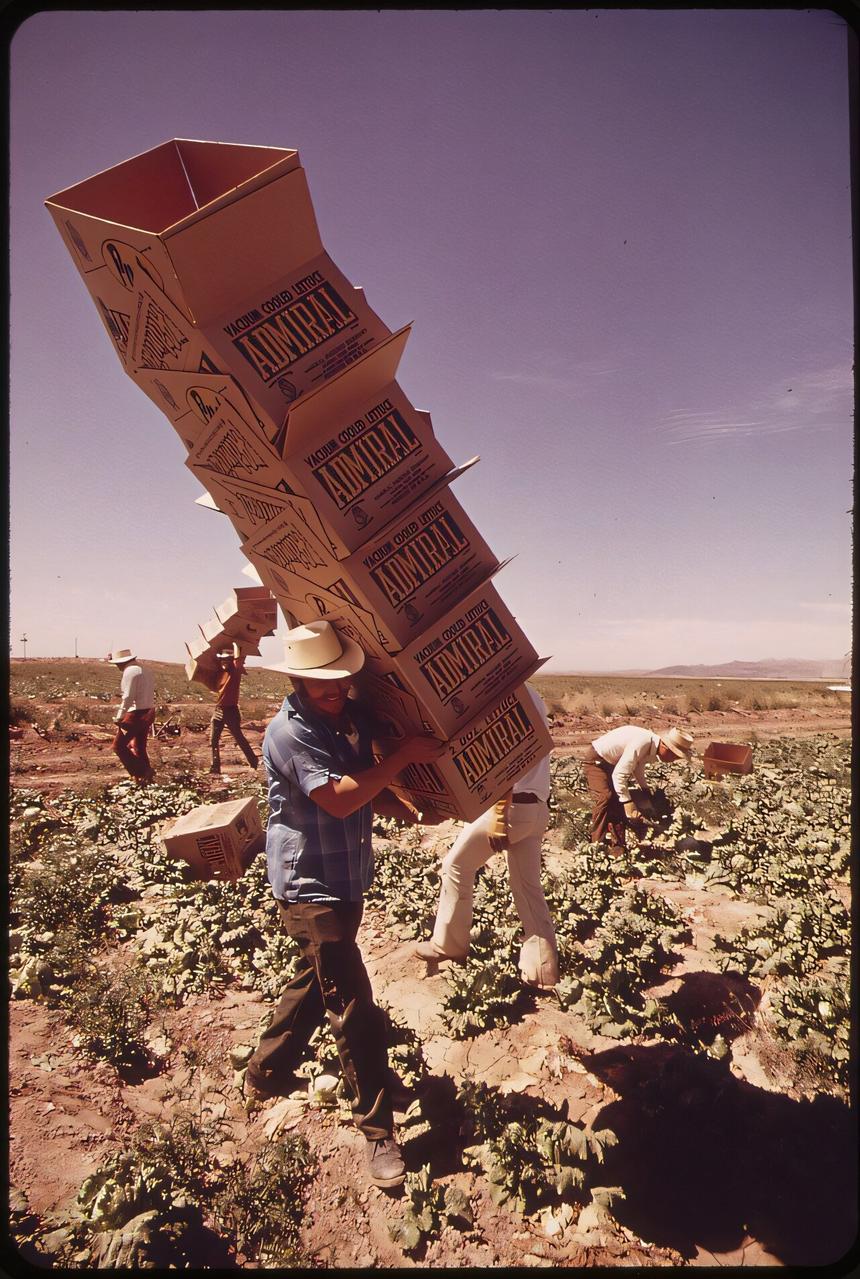 Обнаружено, что жара убивает в основном молодых, а не пожилых людей
