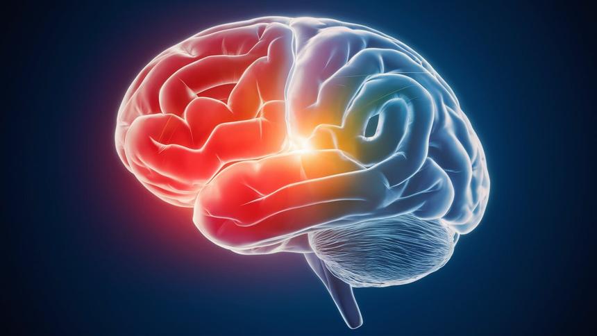 Ученые научились «вписывать» новые знания в мозг без операции