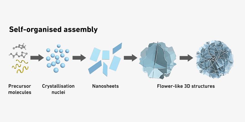 Ученые создали «цветочные» частицы для точной доставки лекарств
