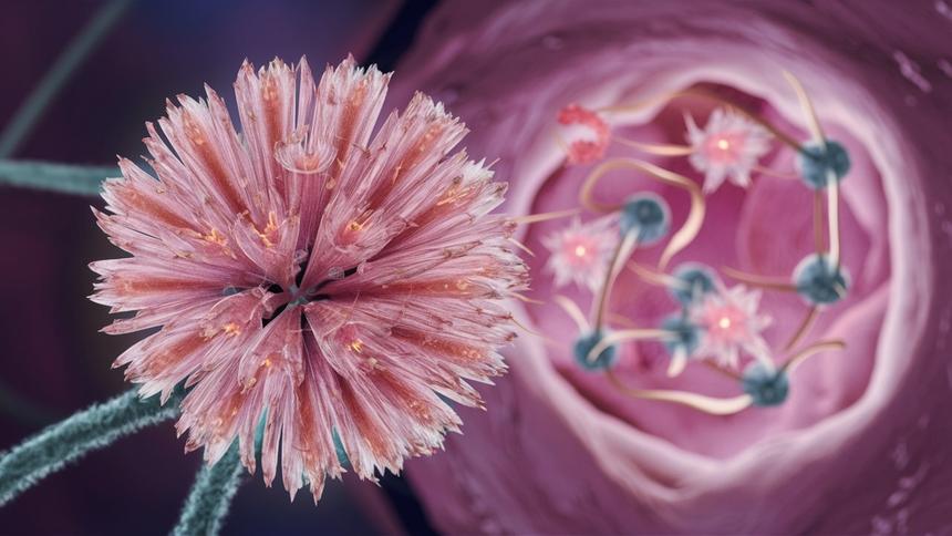 Ученые создали «цветочные» частицы для точной доставки лекарств