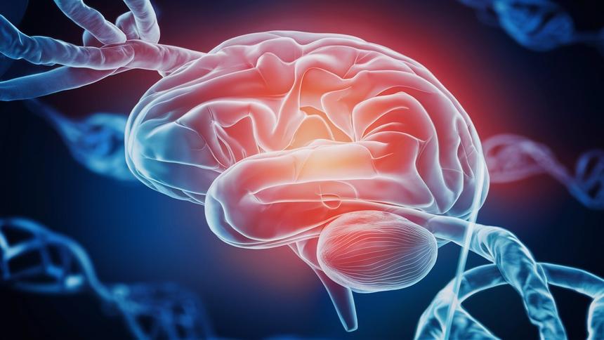 Ученые выявили новые генетические факторы развития болезни Альцгеймера