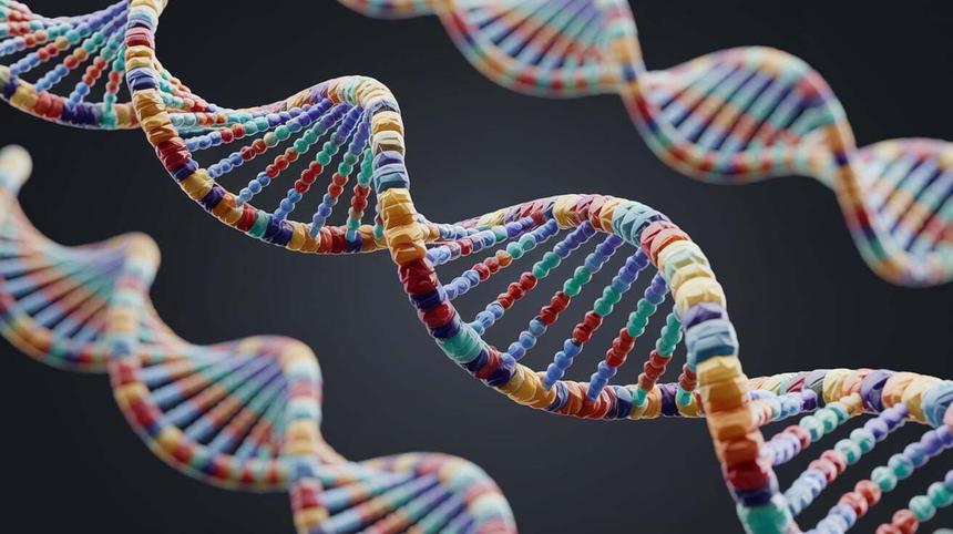 В Китае изобрели перезаписываемую ДНК-память. Все ради «жидкого компьютера»