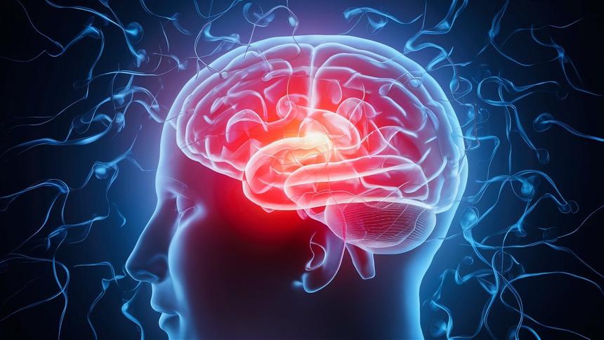 Исследование объяснило роль глубокого сна в создании долгосрочной памяти