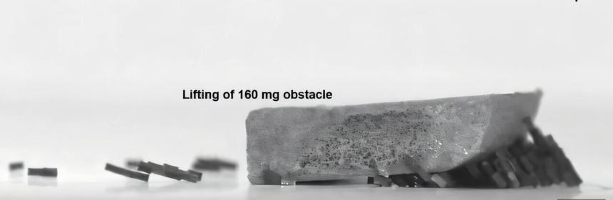 Южнокорейские ученые создали рой магнитных роботов для подъема тяжестей