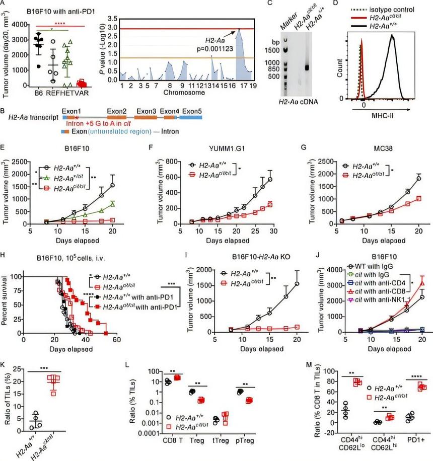 Ученые нашли генетическую мутацию, замедляющую рост рака