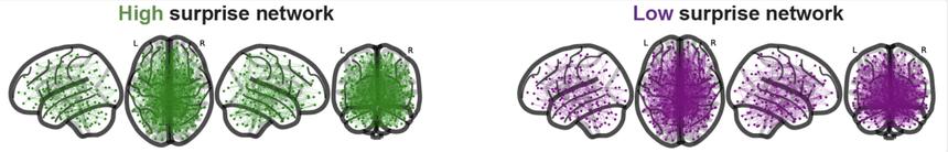Ученые создали модель мозга, предсказывающую удивление людей
