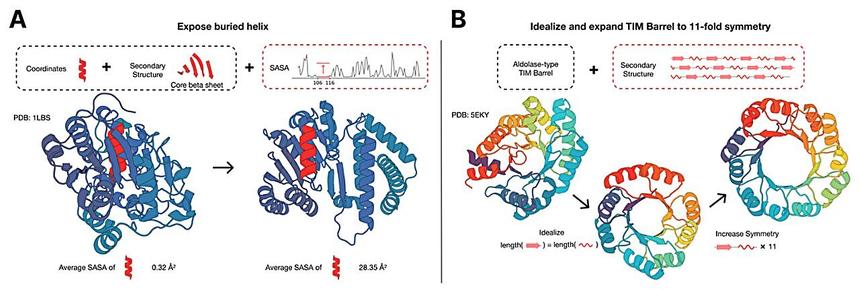 ИИ создал новый белок, имитируя 500 миллионов лет эволюции