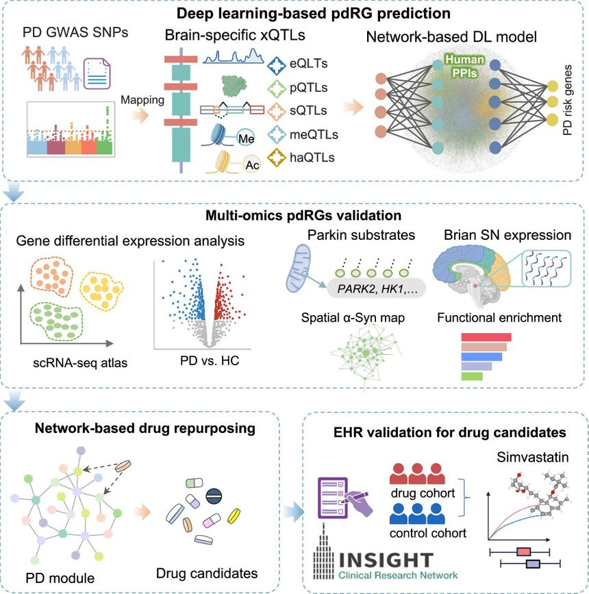ИИ выявил генетические факторы болезни Паркинсона