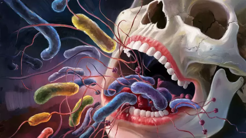 Бактерии кишечника помогают нам сохранить здоровье — доказали и объяснили учёные