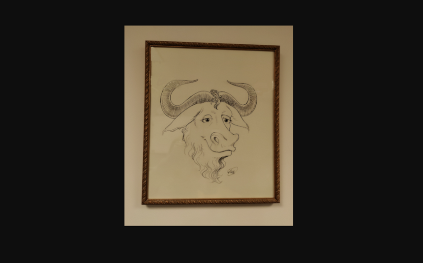 Фонд свободного ПО проведет виртуальный аукцион в честь 40-летия: что можно купить