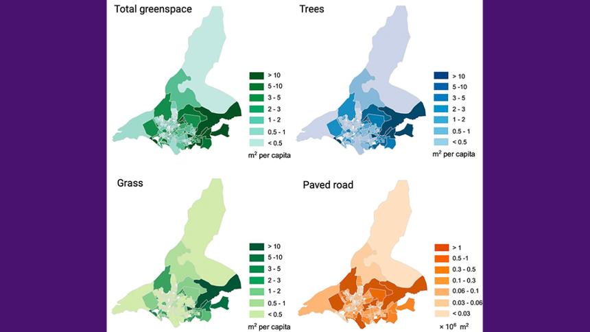 ИИ научился выявлять нехватку зеленых зон в городах