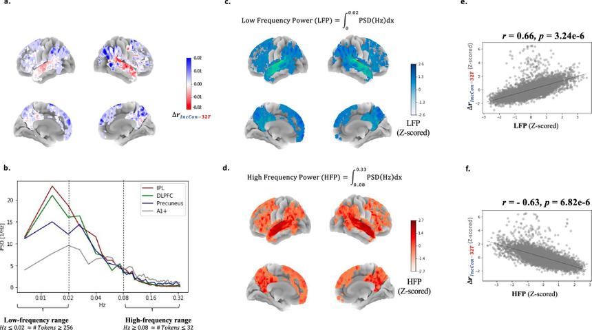 Мозг и ИИ читают по-разному: ученые нашли отличие