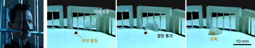 Ученые создали жидкого робота, способного менять форму и сливаться с другими