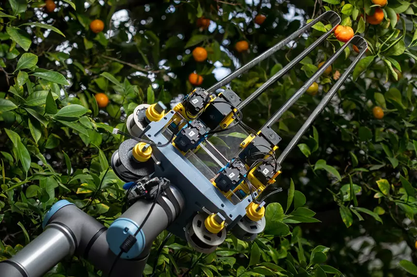 Создан робот с «пальцами» из рулетки