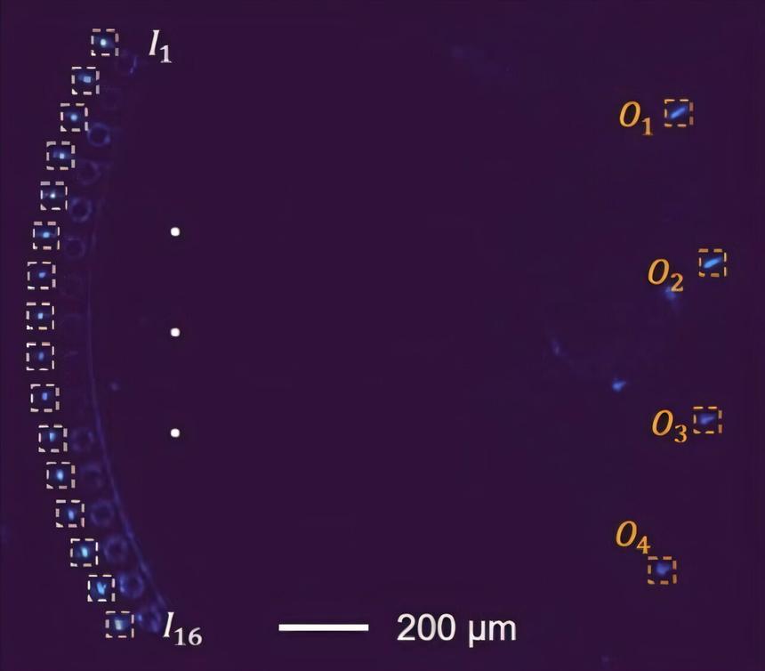 Фотонный чип ускорит обучение ИИ при помощи света