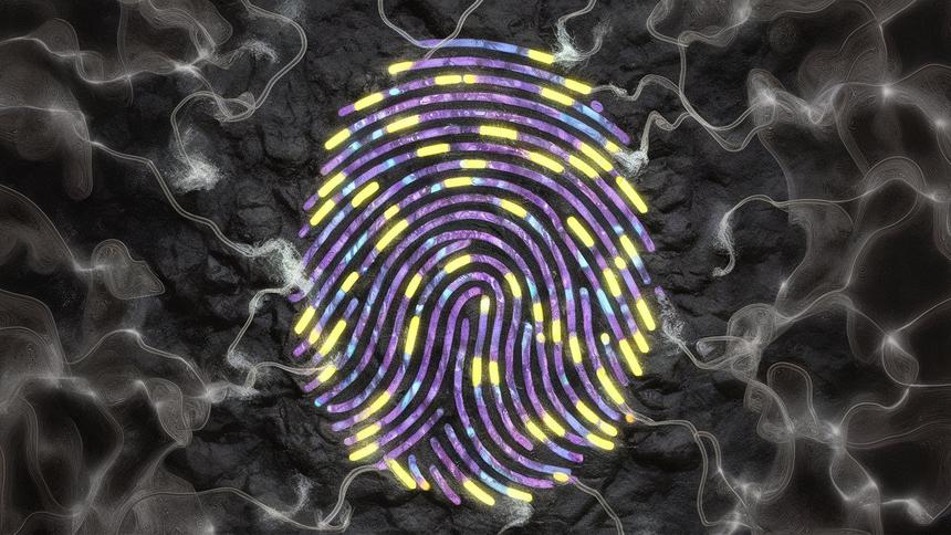 Искусственная кожа с уникальным «отпечатком» станет новым уровнем защиты