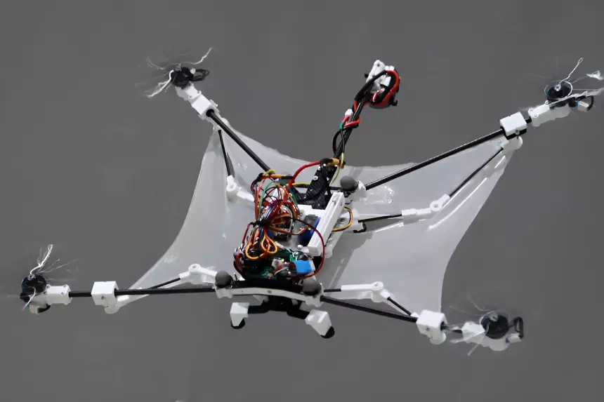 По образу белки-летяги создали уникального дрона