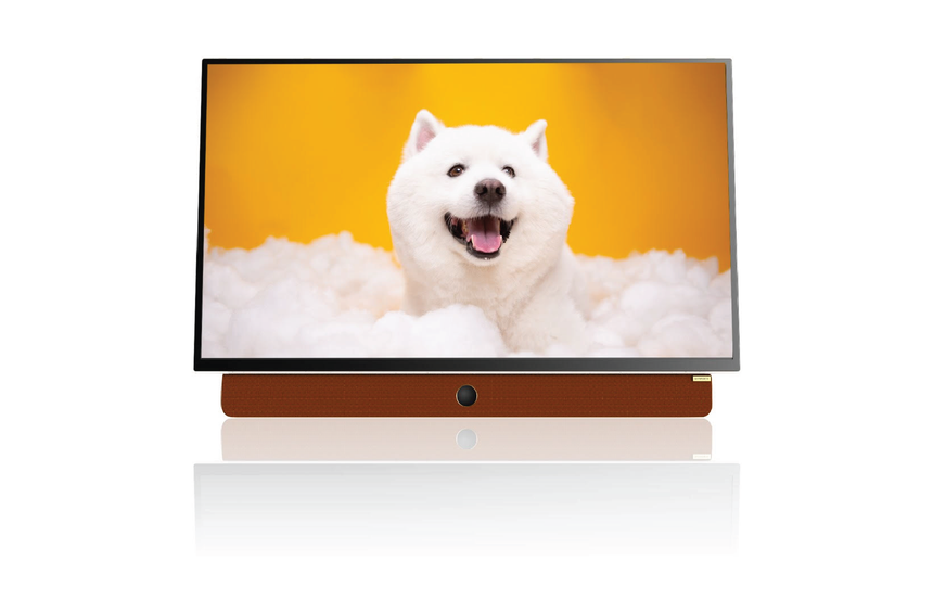 В России начнутся продажи портативного телевизора с защитой зрения Skyworth 24P2E
