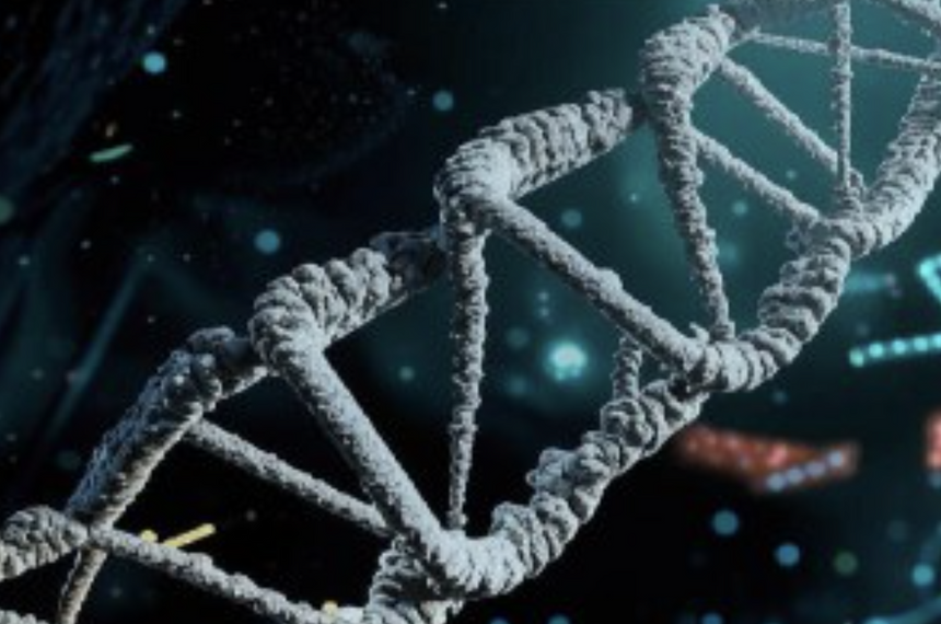 Электропроводящий гидрогель для заживления ран создали в России