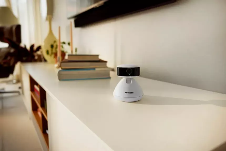 Камера Petlibro с ИИ распознаёт движения питомца и даже описывает их словами