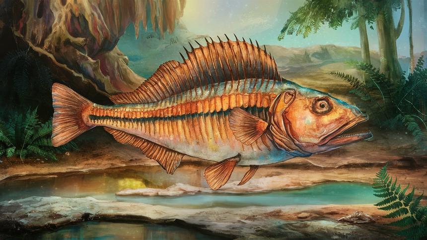 Древняя ДНК помогла раскрыть секрет рецепта римского рыбного соуса