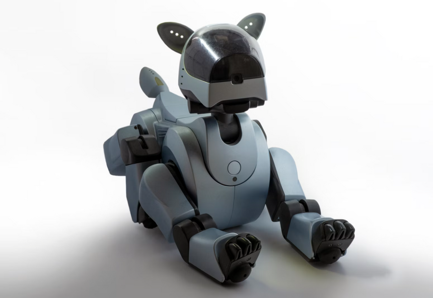 Российских робособак научат подниматься по лестницам с помощью нейросети