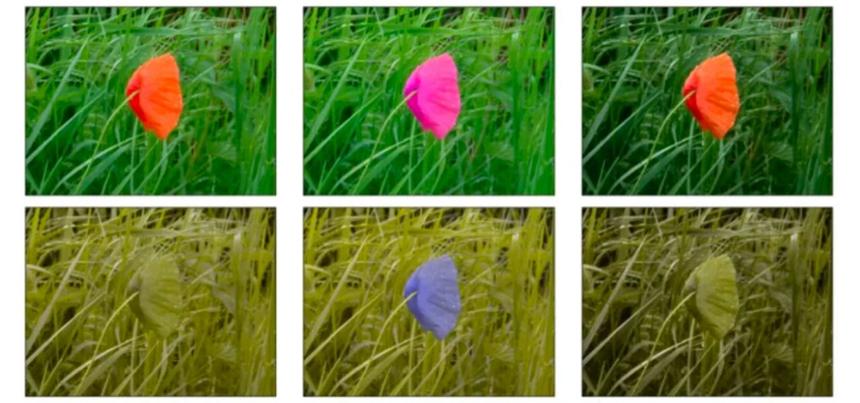 В России создали удобный для дальтоников телевизор