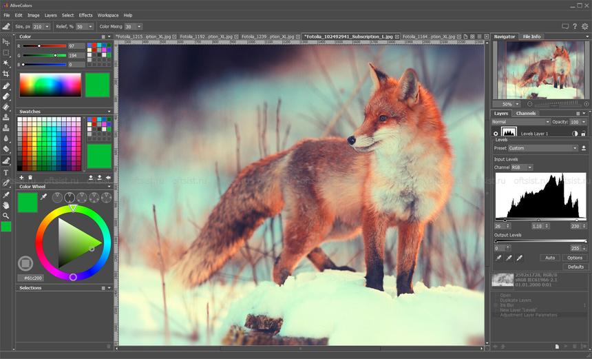 Делай красиво: российские инструменты для графики и визуала