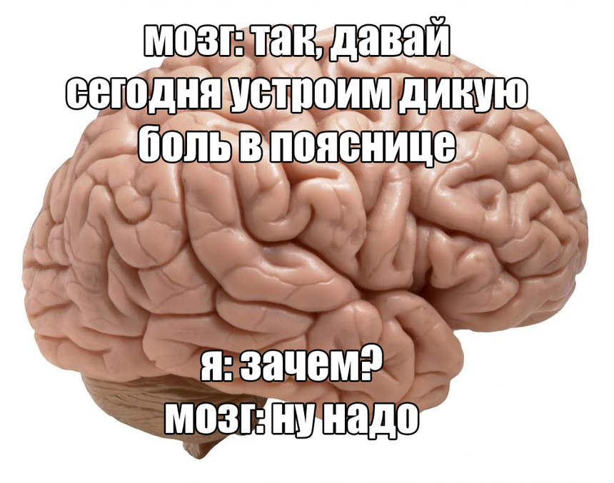 Дело не в спине. Учёные нашли настоящую причину вашей хронической боли